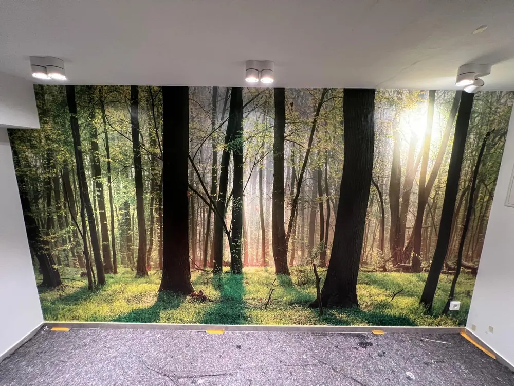 Großformatige Fototapete mit Waldmotiv an einer Bürowand